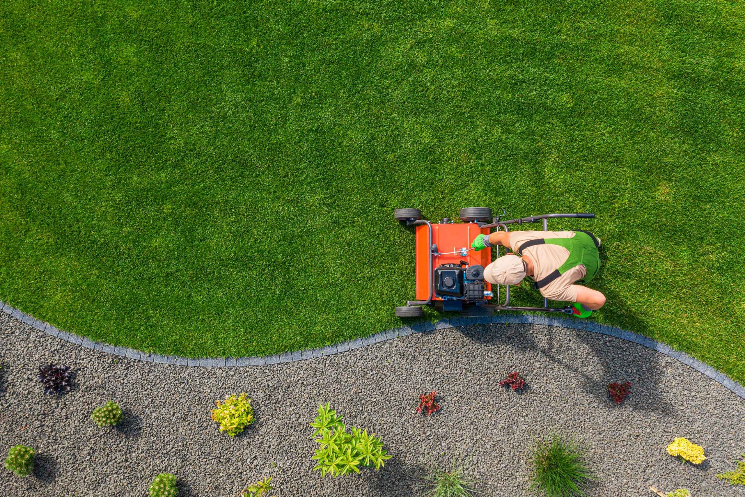 Torres Landscaping – Professional Lawn Care Services In San Mateo ...