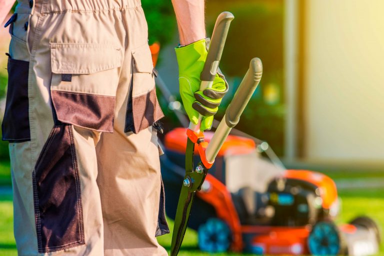 Torres Landscaping – Professional Lawn Care Services In San Mateo ...